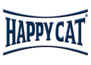 happy cat